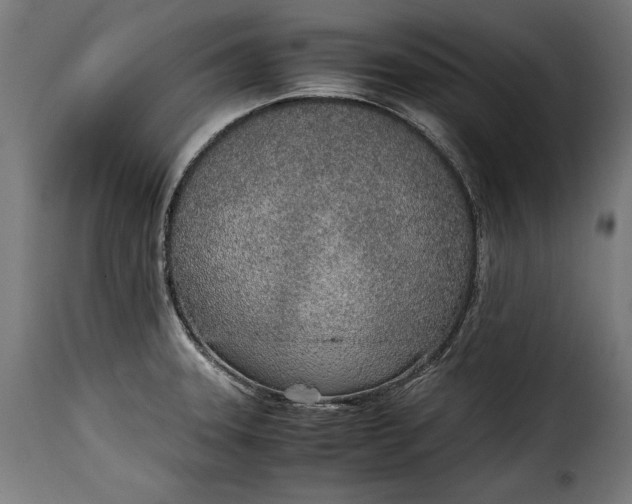 X0000115621331200911241615