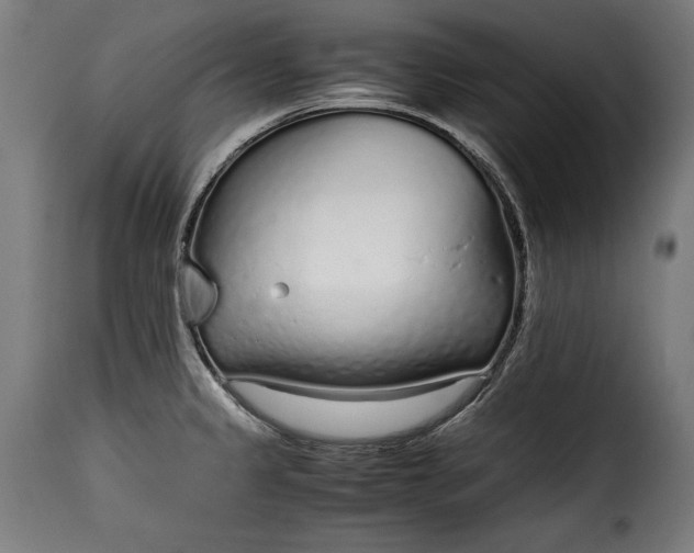 X0000115621333200911241615