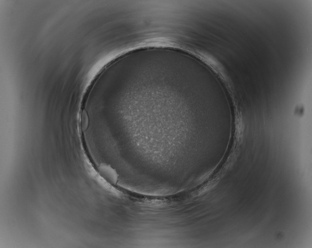 X0000115621334200911241615