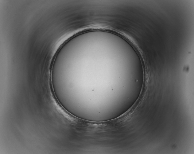 X0000115621335200911241615