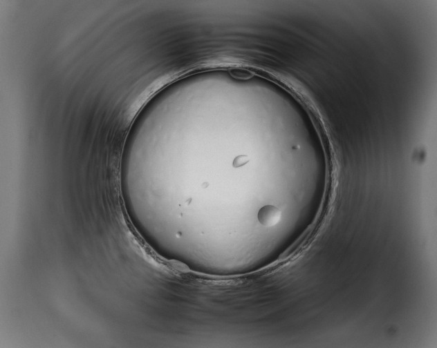 X0000115621337200911241615