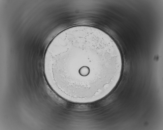 X0000115621338200911241615