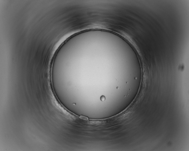 X0000115621339200911241615