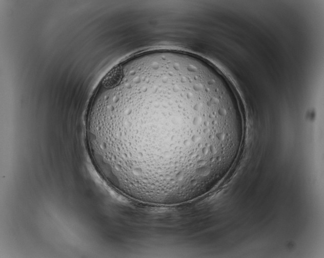 X0000115621341200911241615