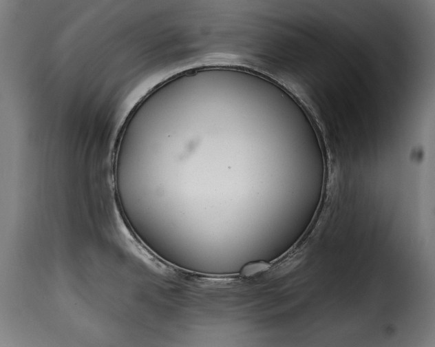 X0000115621342200911241615