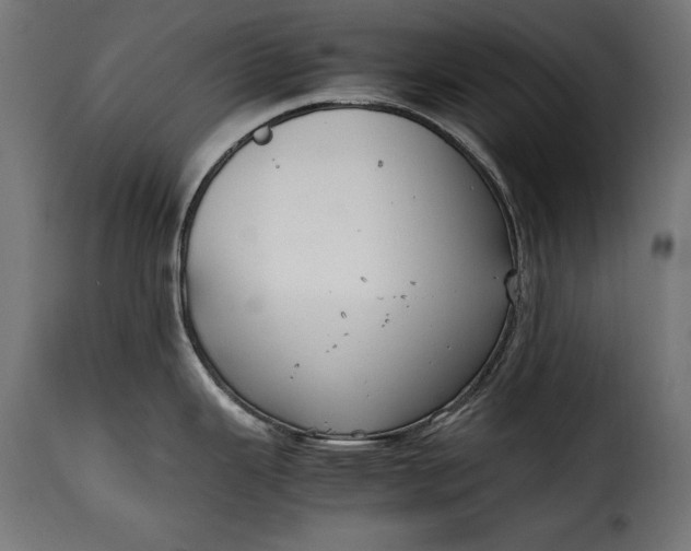 X0000115621343200911241615