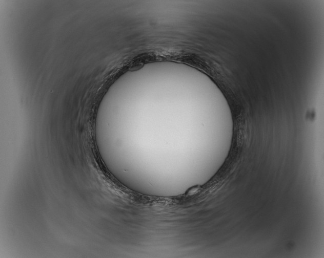 X0000115621345200911241614