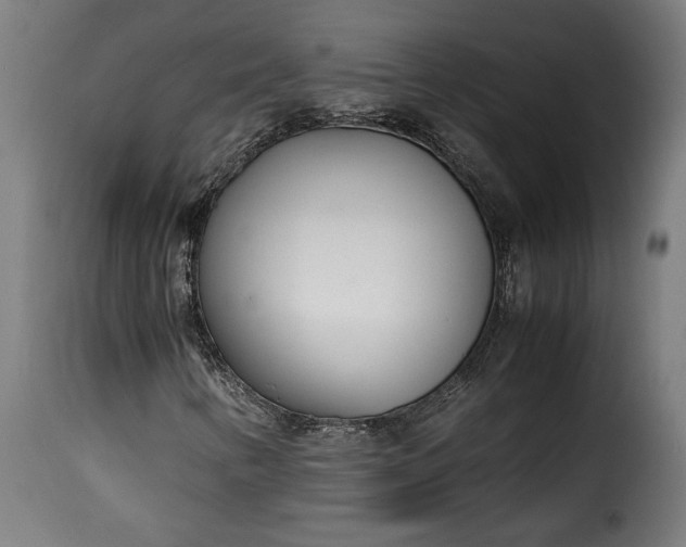 X0000115621346200911241614