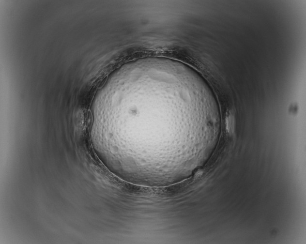 X0000115621347200911241614