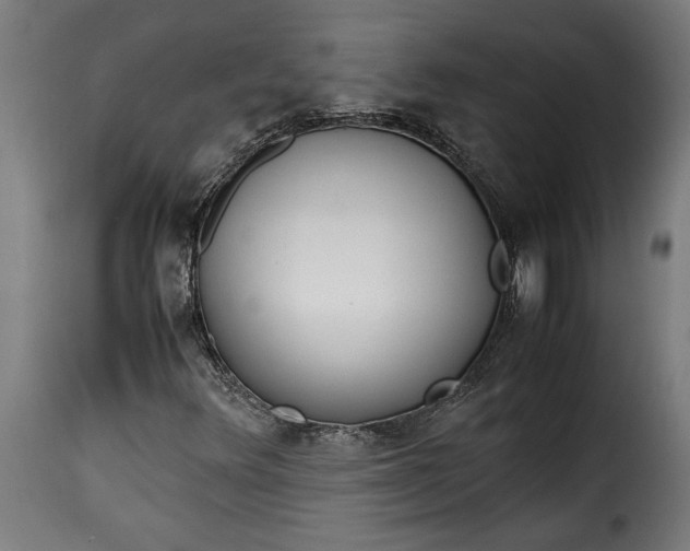 X0000115621348200911241614