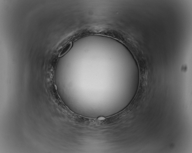 X0000115621349200911241614