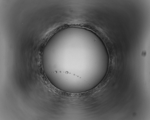 X0000115621350200911241614