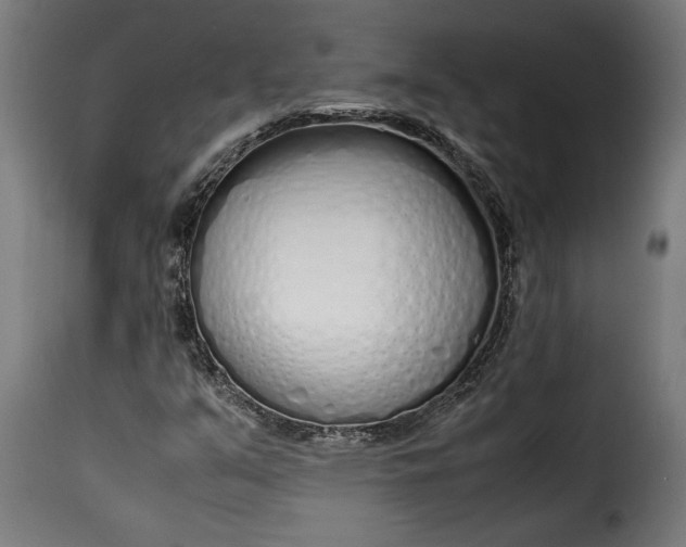 X0000115621351200911241614