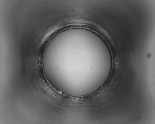 X0000115621352200911241614