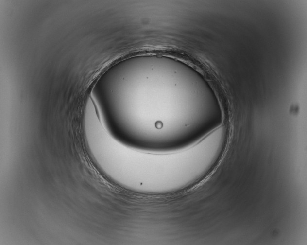 X0000115621353200911241614