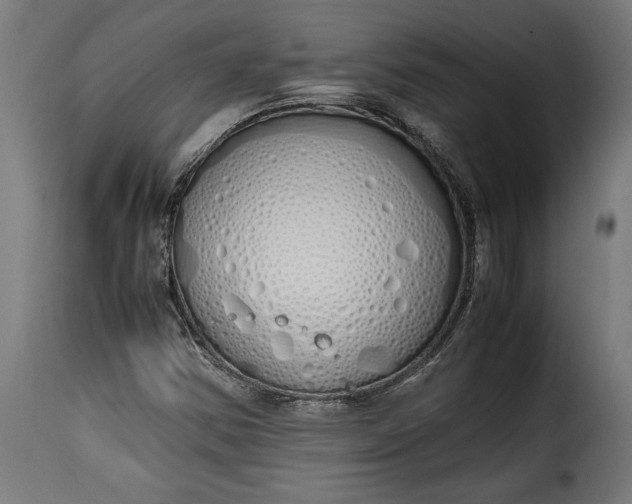 X0000115621354200911241614