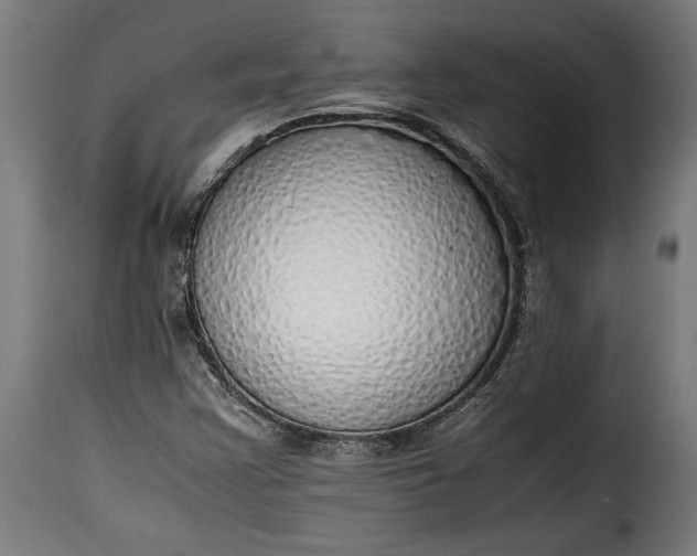 X0000115621355200911241614