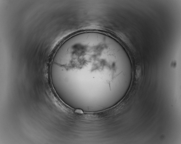 X0000115621356200911241614