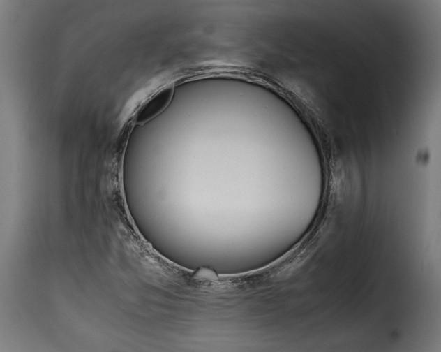 X0000115621357200911241614