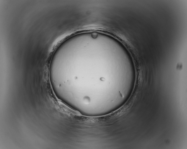 X0000115621358200911241614