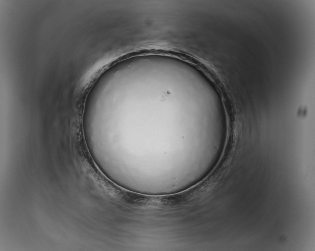 X0000115621359200911241614