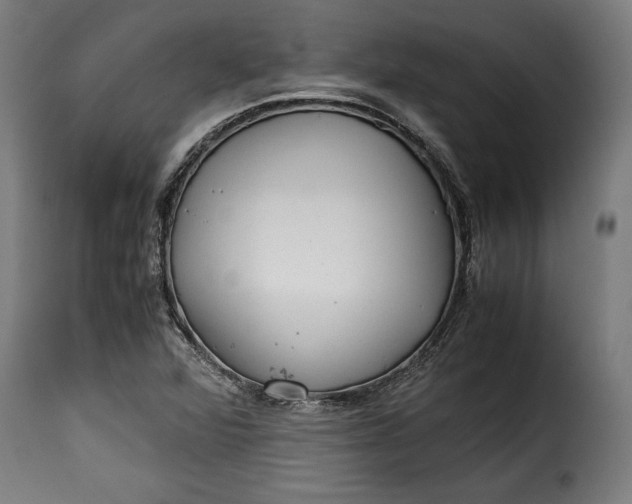 X0000115621360200911241614