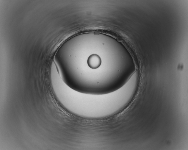 X0000115621361200911241614