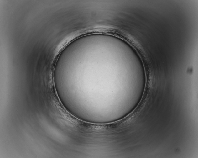 X0000115621362200911241614