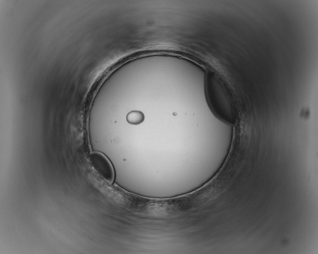 X0000115621364200911241614