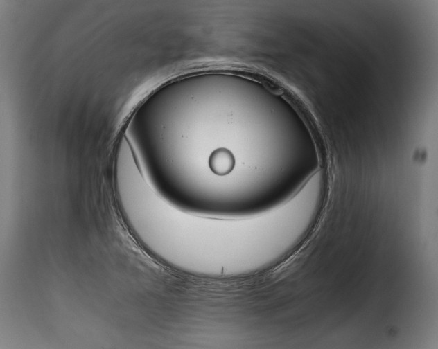 X0000115621365200911241614