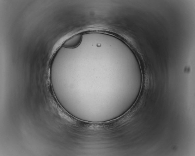 X0000115621366200911241614