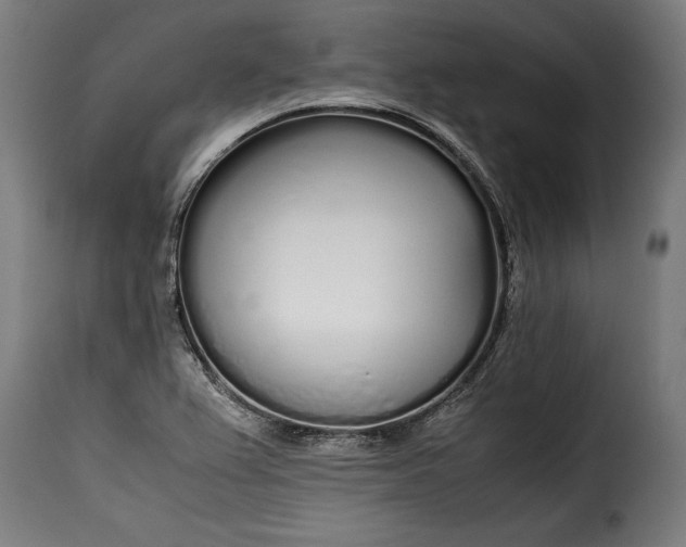 X0000115621367200911241614