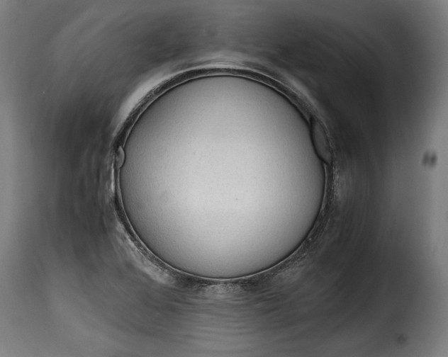 X0000115621368200911241614