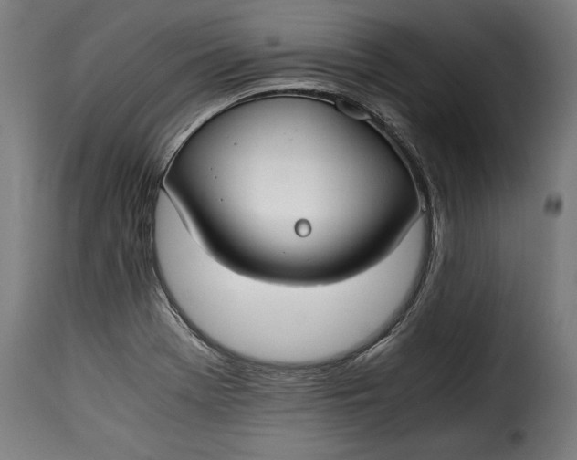 X0000115621369200911241614