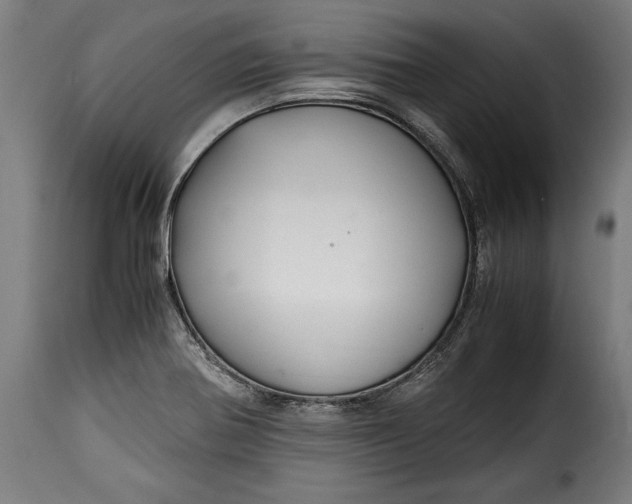 X0000115621370200911241614