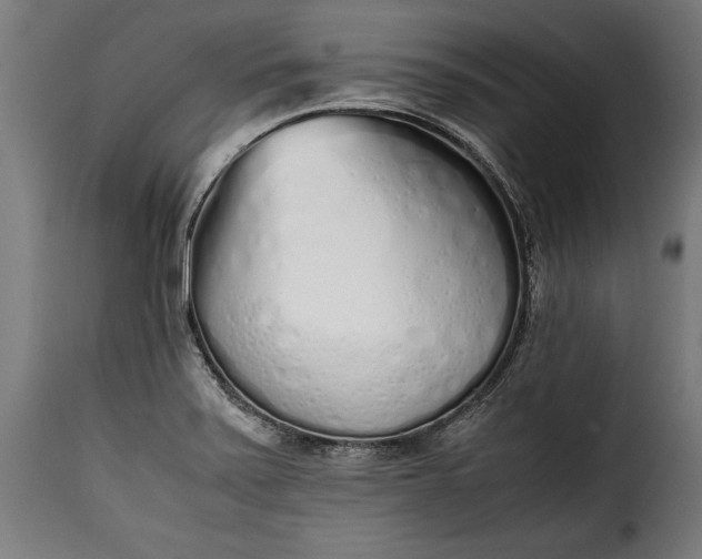 X0000115621371200911241614