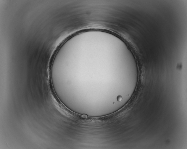 X0000115621372200911241614