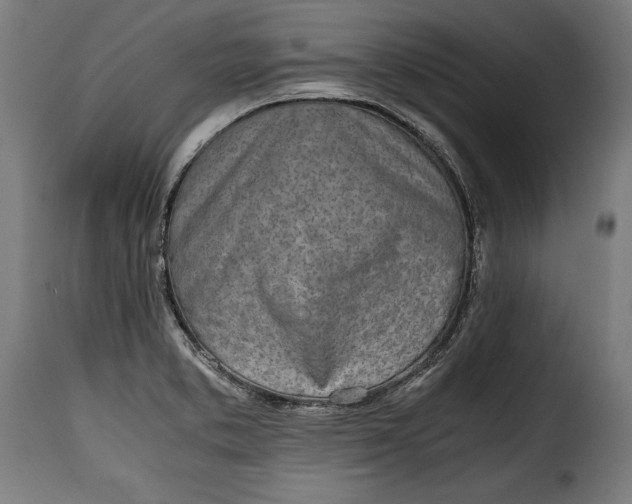 X0000115621373200911241614