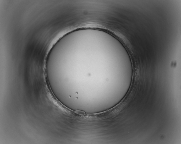 X0000115621374200911241614