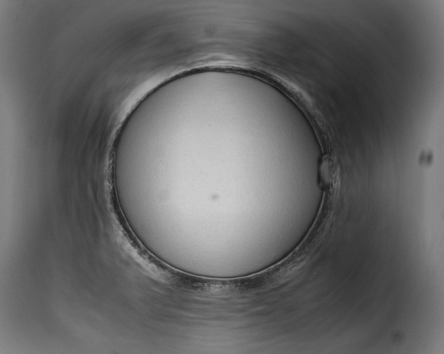 X0000115621375200911241614