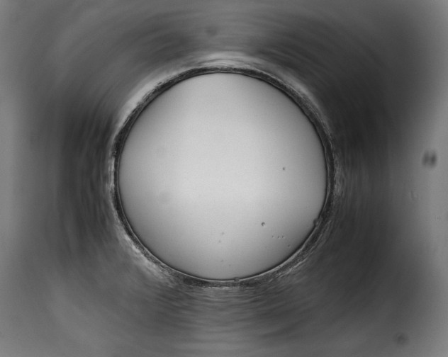 X0000115621376200911241614