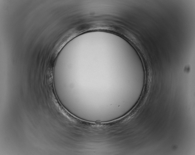 X0000115621377200911241614