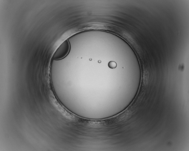 X0000115621378200911241614