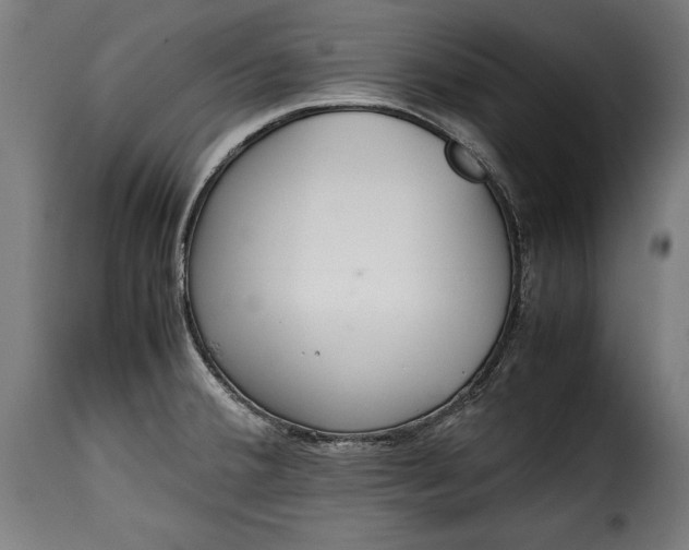 X0000115621380200911241614