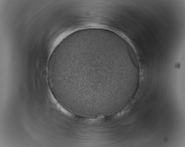 X0000115621381200911241614