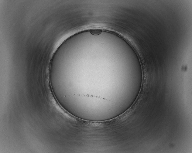 X0000115621382200911241614