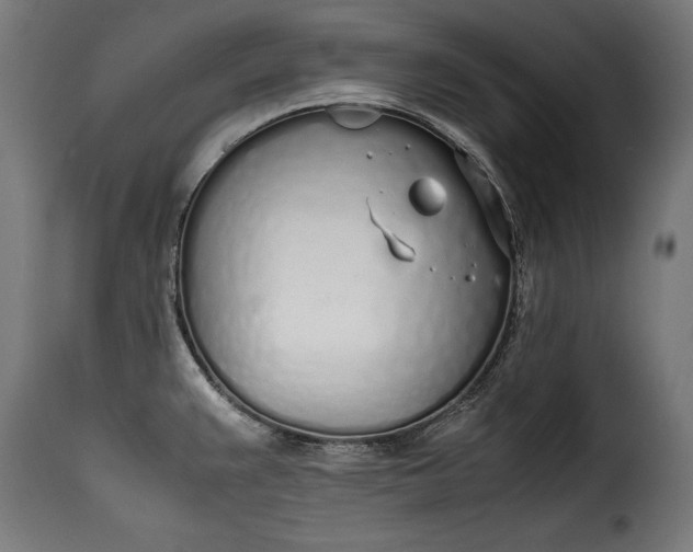 X0000115621383200911241614