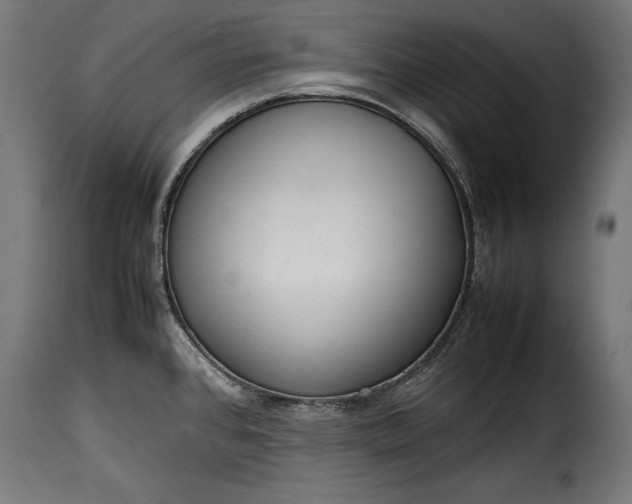 X0000115621384200911241614