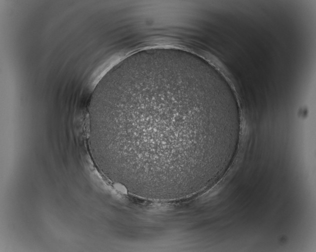 X0000115621385200911241614