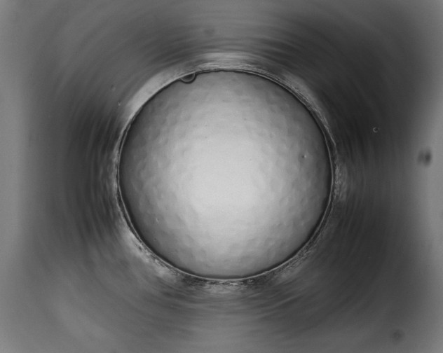 X0000115621386200911241614